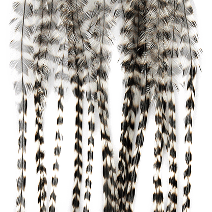 Whiting Farms 100 Saddle Hackle Pack - Spawn Fly Fish - Whiting Farms