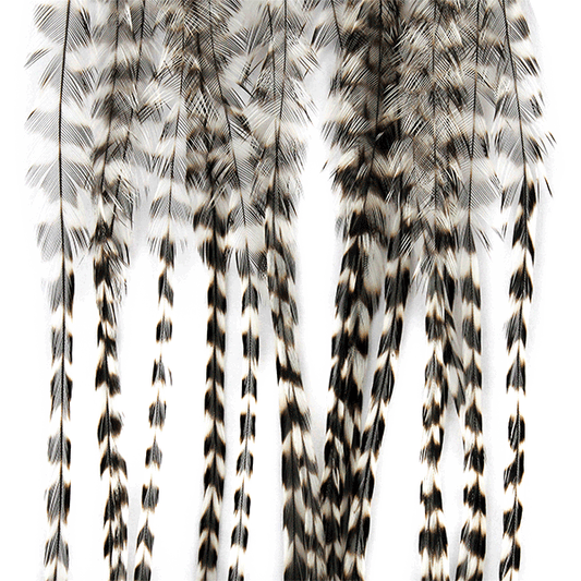 Whiting Farms 100 Saddle Hackle Pack - Spawn Fly Fish - Whiting Farms