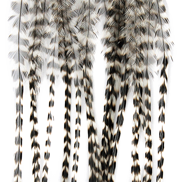 Whiting Farms 100 Saddle Hackle Pack - Spawn Fly Fish - Whiting Farms