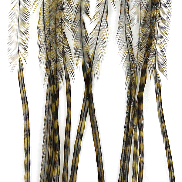 Whiting Farms 100 Saddle Hackle Pack - Spawn Fly Fish - Whiting Farms