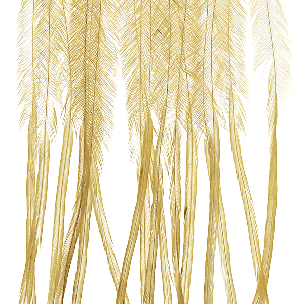 Whiting Farms 100 Saddle Hackle Pack - Spawn Fly Fish - Whiting Farms