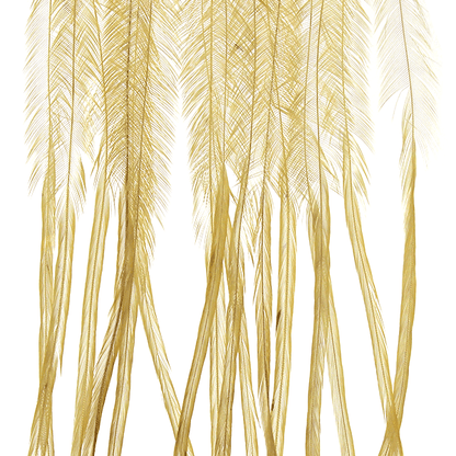 Whiting Farms 100 Saddle Hackle Pack - Spawn Fly Fish - Whiting Farms