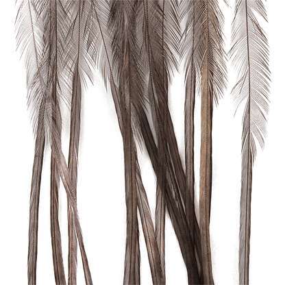 Whiting Farms 100 Saddle Hackle Pack - Spawn Fly Fish - Whiting Farms