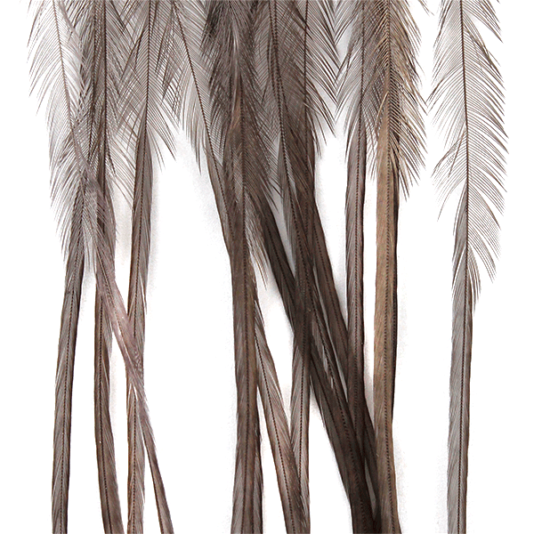 Whiting Farms 100 Saddle Hackle Pack - Spawn Fly Fish - Whiting Farms