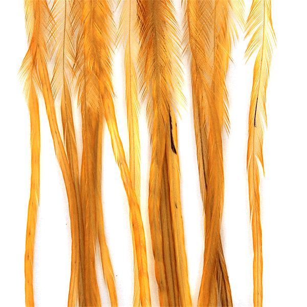 Whiting Farms 100 Saddle Hackle Pack - Spawn Fly Fish - Whiting Farms