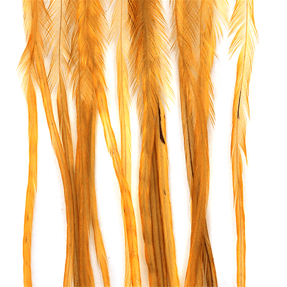 Whiting Farms 100 Saddle Hackle Pack - Spawn Fly Fish - Whiting Farms