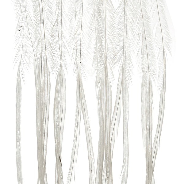 Whiting Farms 100 Saddle Hackle Pack - Spawn Fly Fish - Whiting Farms