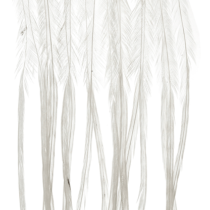 Whiting Farms 100 Saddle Hackle Pack - Spawn Fly Fish - Whiting Farms