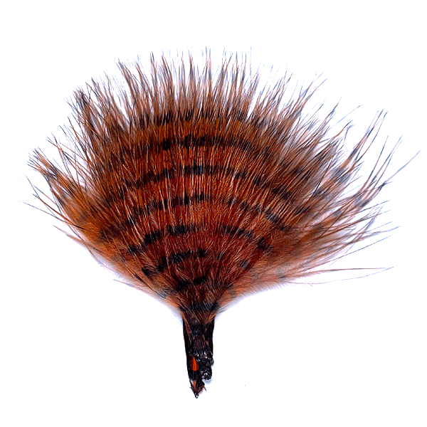 Mini Barred Buggerbou - Spawn Fly Fish - Montana Fly Company