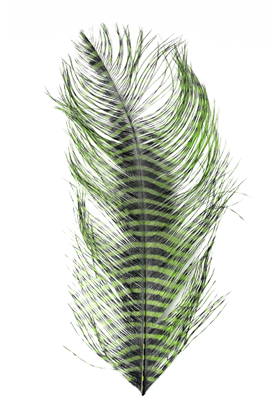 MFC Barred Ostrich Plume - Spawn Fly Fish - Spawn Fly Fish