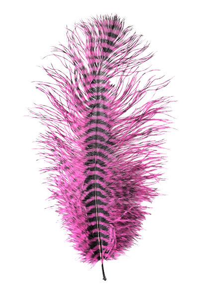 MFC Barred Ostrich Plume - Spawn Fly Fish - Spawn Fly Fish