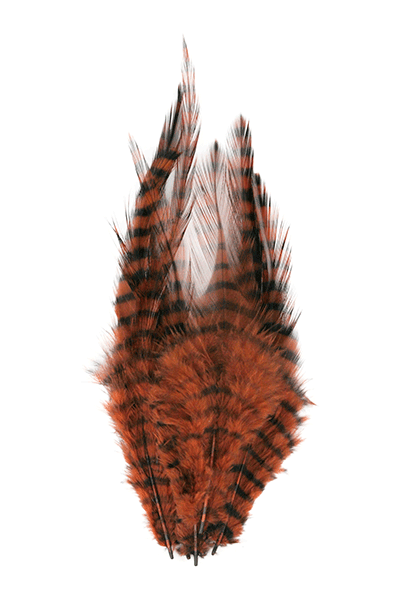MFC Barred Saddle Hackle - Spawn Fly Fish - Montana Fly Company