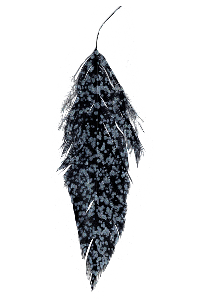 MFC Mottled Schlappen - Spawn Fly Fish - Montana Fly Company