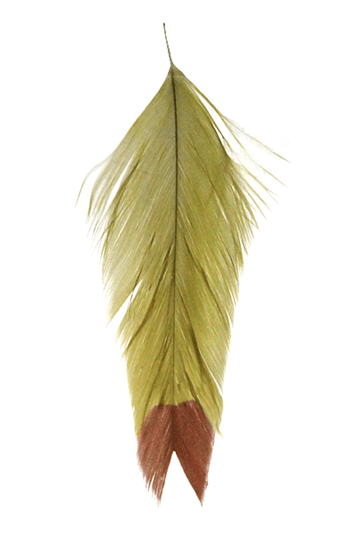 Galloup's Fish Feathers - Fin Tip - Spawn Fly Fish - Montana Fly Company