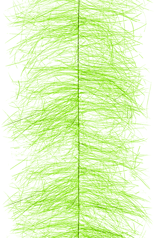 MFC Sparkle Minnow Body Brush - Spawn Fly Fish - Montana Fly Company