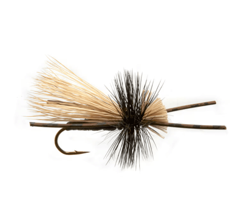 Rosenau’s Rocktober Caddis - Black - Spawn Fly Fish - Spawn Fly Fish