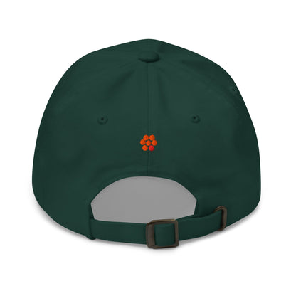 Dad hat - Spawn Fly Fish - Spawn Fly Fish