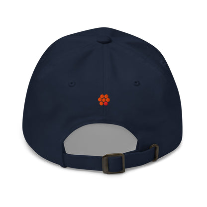 Dad hat - Spawn Fly Fish - Spawn Fly Fish