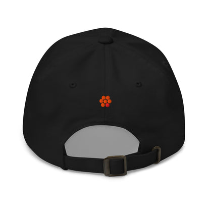 Dad hat - Spawn Fly Fish - Spawn Fly Fish