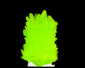Whiting Farms 4B Hen Saddle - Spawn Fly Fish - Whiting Farms