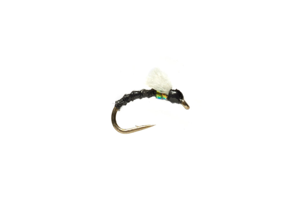 Fulling Mill - BOROFF'S FOAMIE HOMIE BLACK - Spawn Fly Fish - Fulling Mill