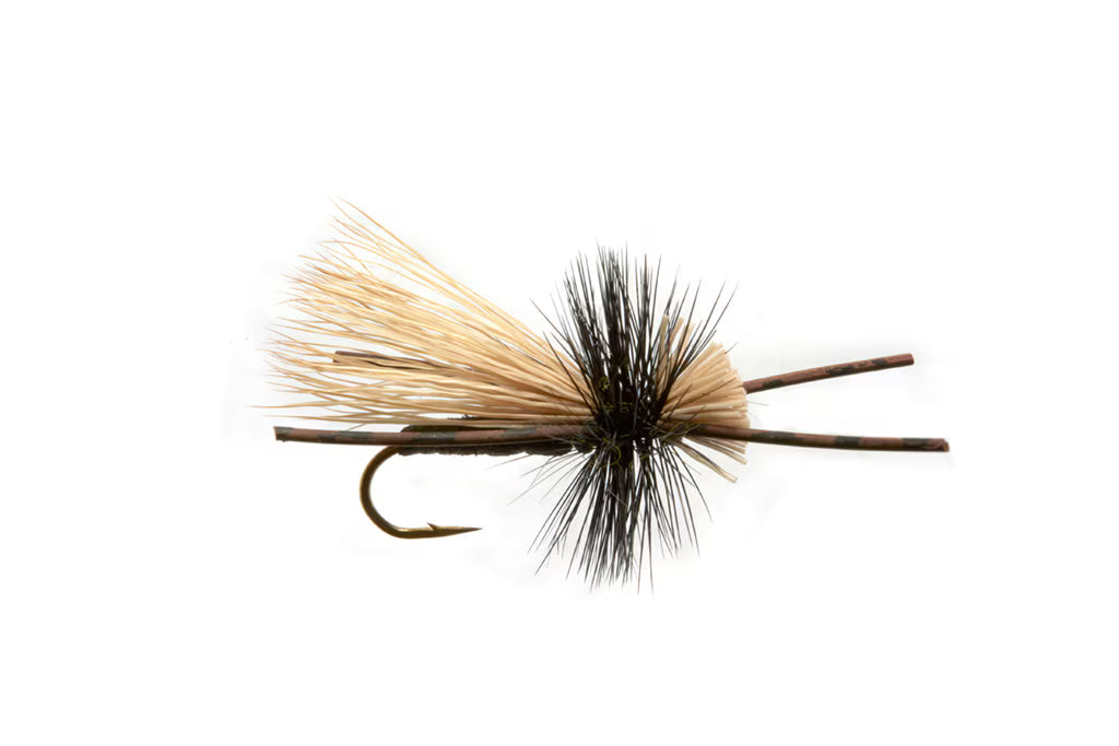 Black Caddis Fly Pattern