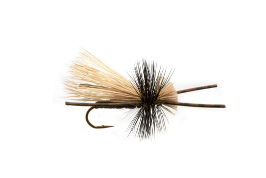 Black Caddis Fly Pattern