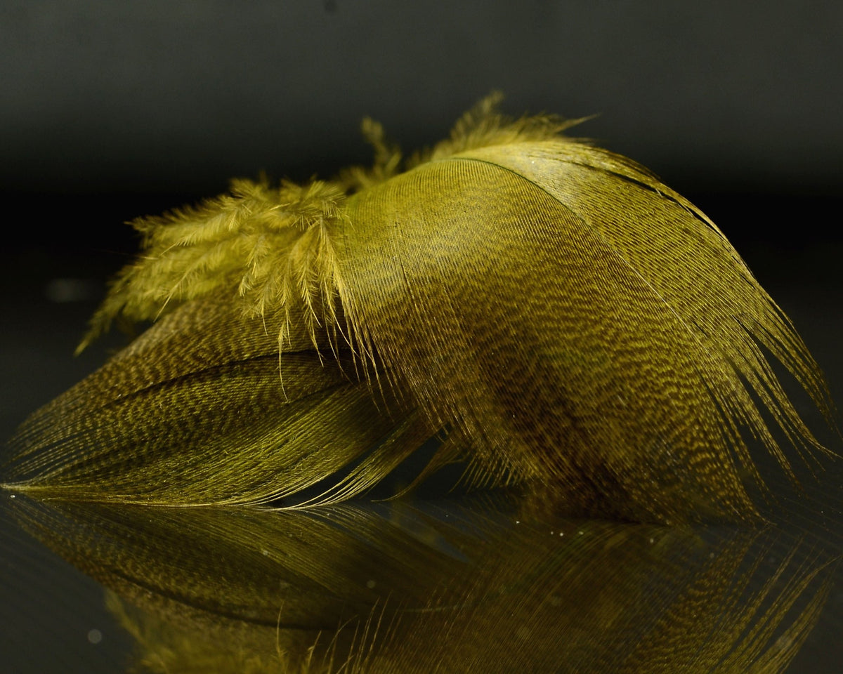 Fly Spawn Spawn Super Select - Dyed Bronze Mallard | Spawn Fly Fish – Spawn Fly Fish