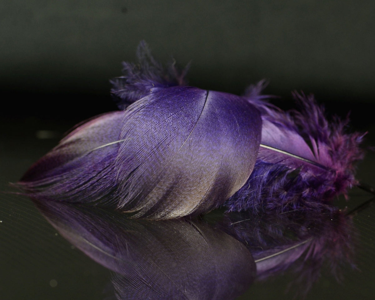 Spawn Flies Spawn Super Select - Dyed Bronze Mallard | Spawn Fly Fish – Spawn Fly Fish