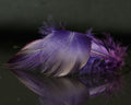 Spawn Super Select - Dyed Bronze Mallard - Spawn Fly Fish - Spawn Fly Fish