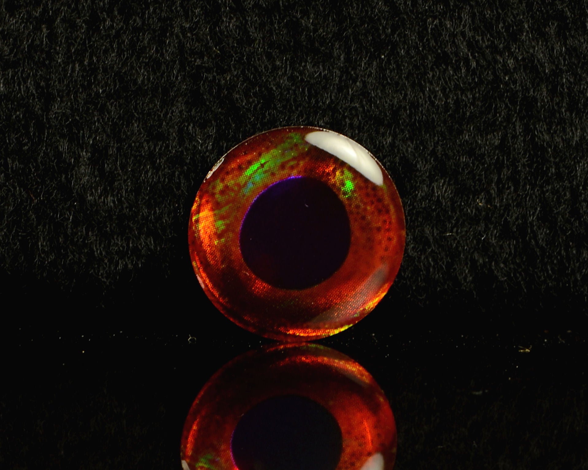 Spawn Eyes - Spawn Fly Fish - Spawn Fly Fish