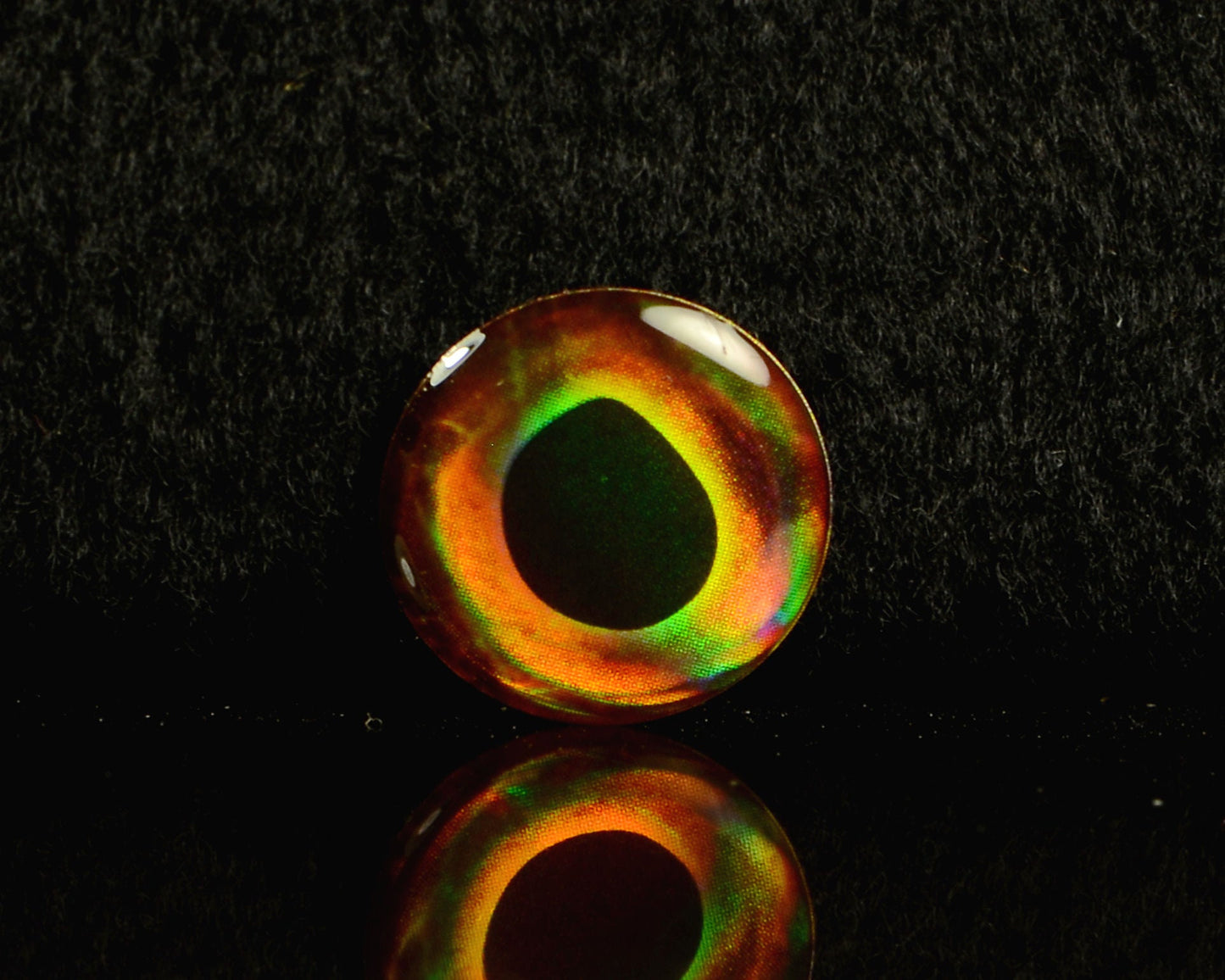 Spawn Eyes - Spawn Fly Fish - Spawn Fly Fish