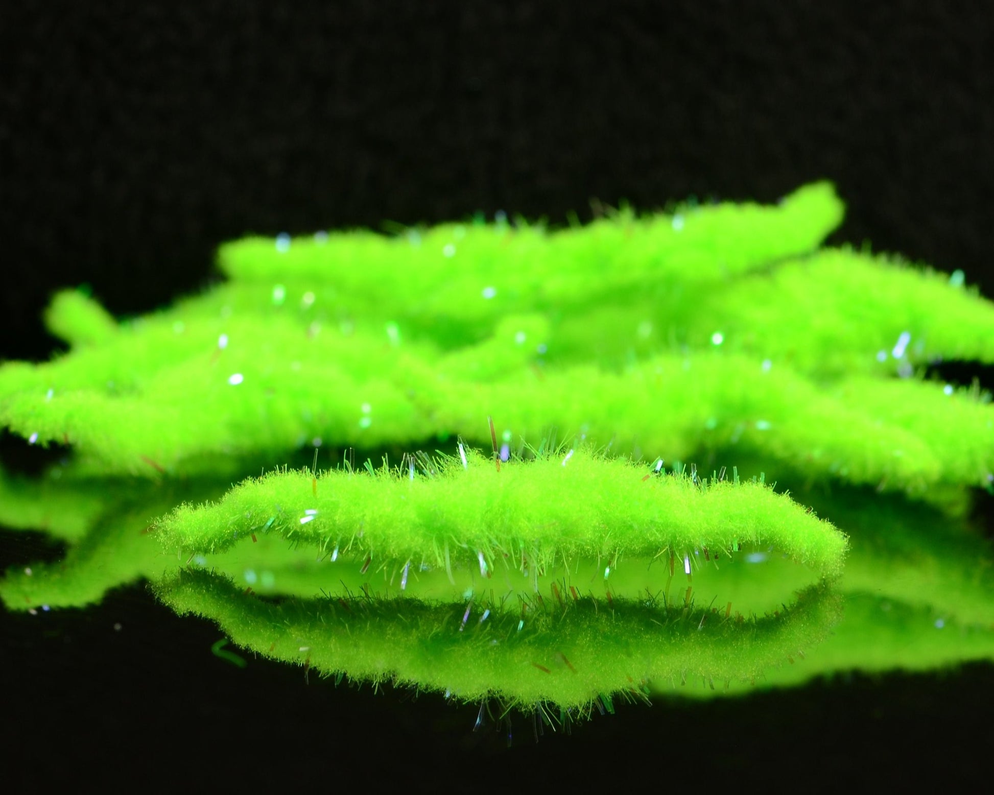 Fly Tying Essential: Spawn UV Flash Polliwog Tails - Spawn Fly Fish - Spawn Fly Fish