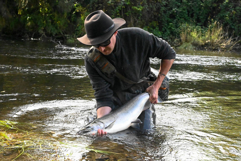 Fly Fishing for Coho Salmon in Washington: From Puget Sound to the Willapa Rivers