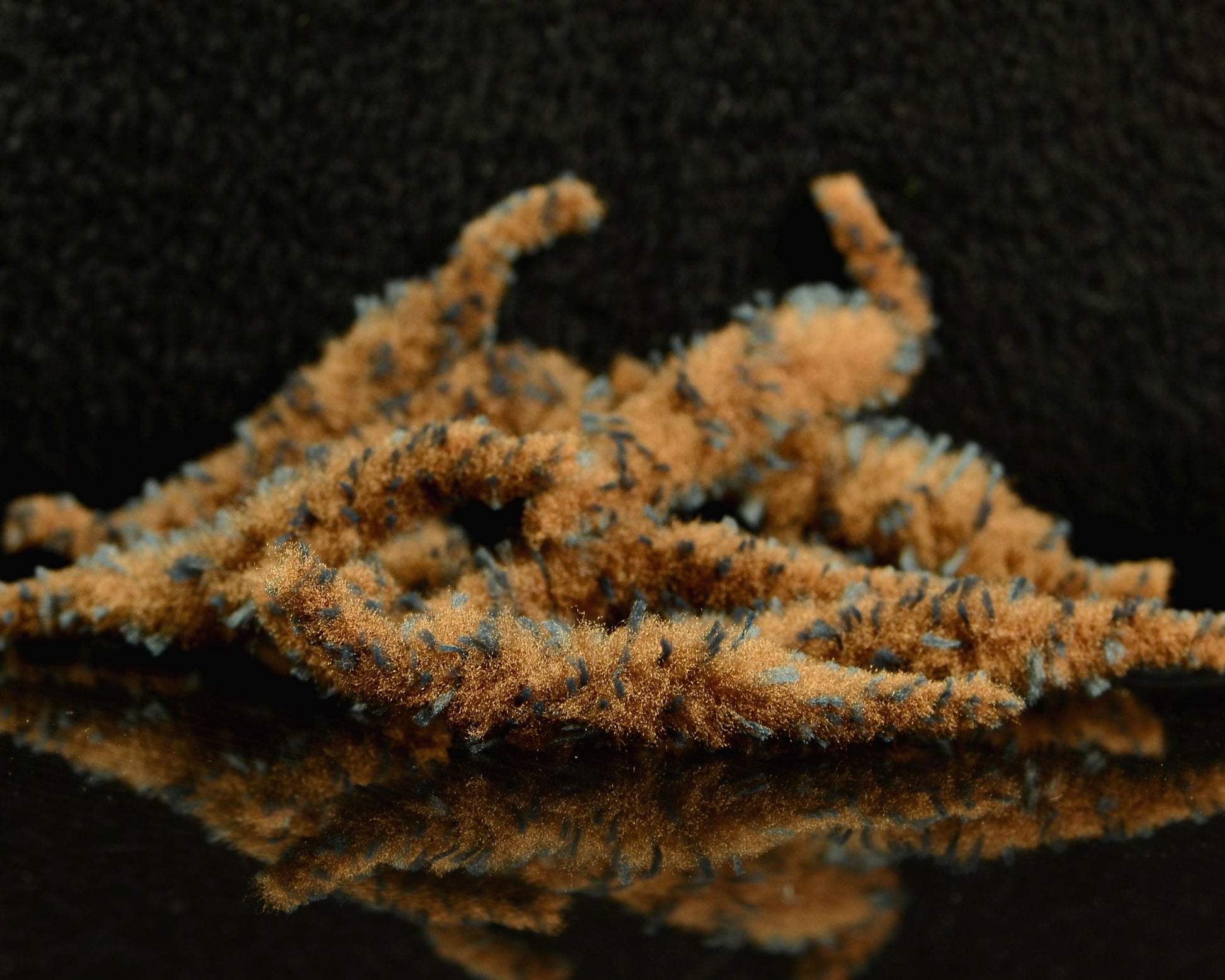 Fly Tying Essential: Spawn Grizzly Polliwog Tails - Spawn Fly Fish - Spawn Fly Fish