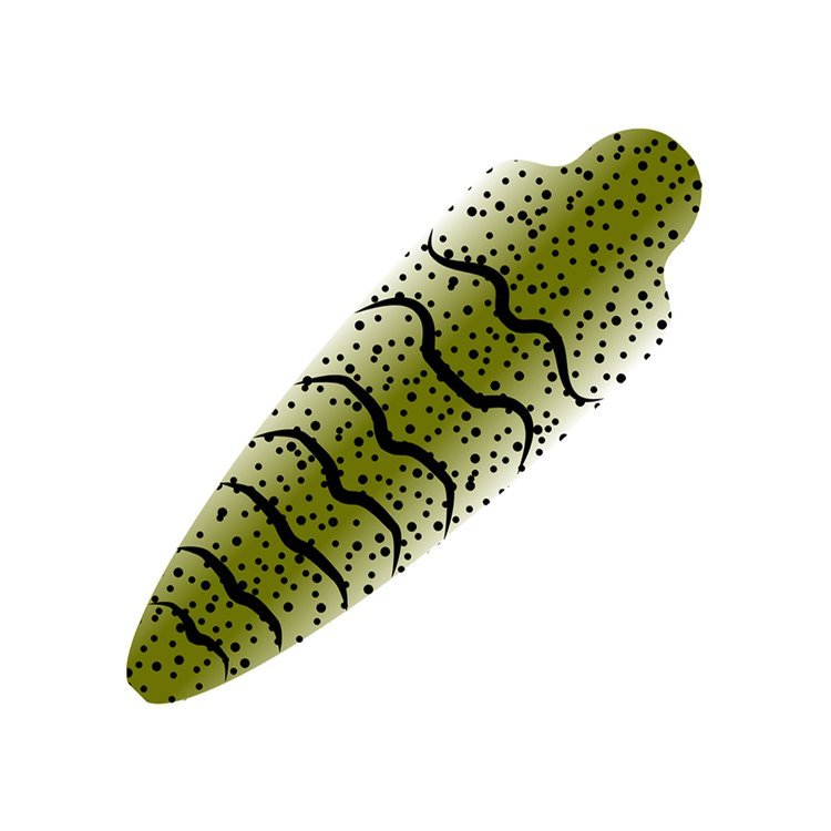 Shell Flew Pro Sportfisher Shrimpshell (No Eyes) - Spawn Fly Fish – Spawn Fly Fish