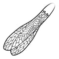 Pro Sportfisher Adult Stonefly Wings - Spawn Fly Fish - Pro Sportfisher