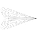 Pro Sportfisher Caddis Wing - Spawn Fly Fish - Pro Sportfisher