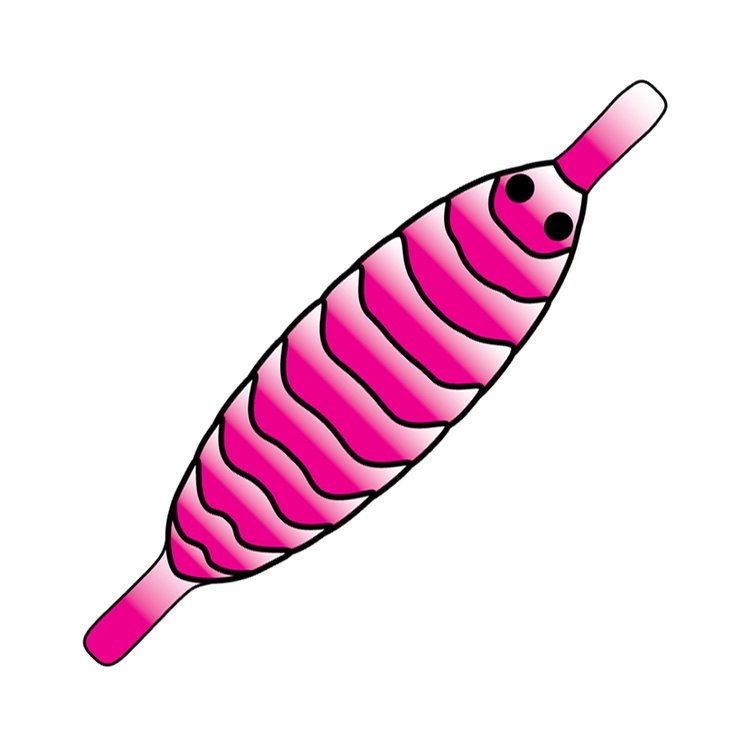 Fly Spawn Shell Pro Sportfisher Gammarus Shell Back - Spawn Fly Fish – Spawn Fly Fish