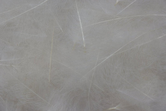 Fulling Mill CDC Feathers - Spawn Fly Fish - Fulling Mill