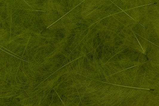 Fulling Mill CDC Feathers - Spawn Fly Fish - Fulling Mill