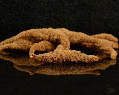 Fly Tying Essential: Spawn Polliwog Tails - Spawn Fly Fish - Spawn Fly Fish