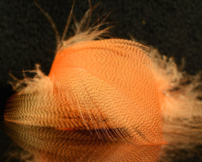 Spawn Super Select Mallard Flank - Spawn Fly Fish - Spawn Fly Fish