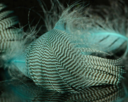 Spawn Super Select Pintail Feathers - Spawn Fly Fish - Spawn Fly Fish