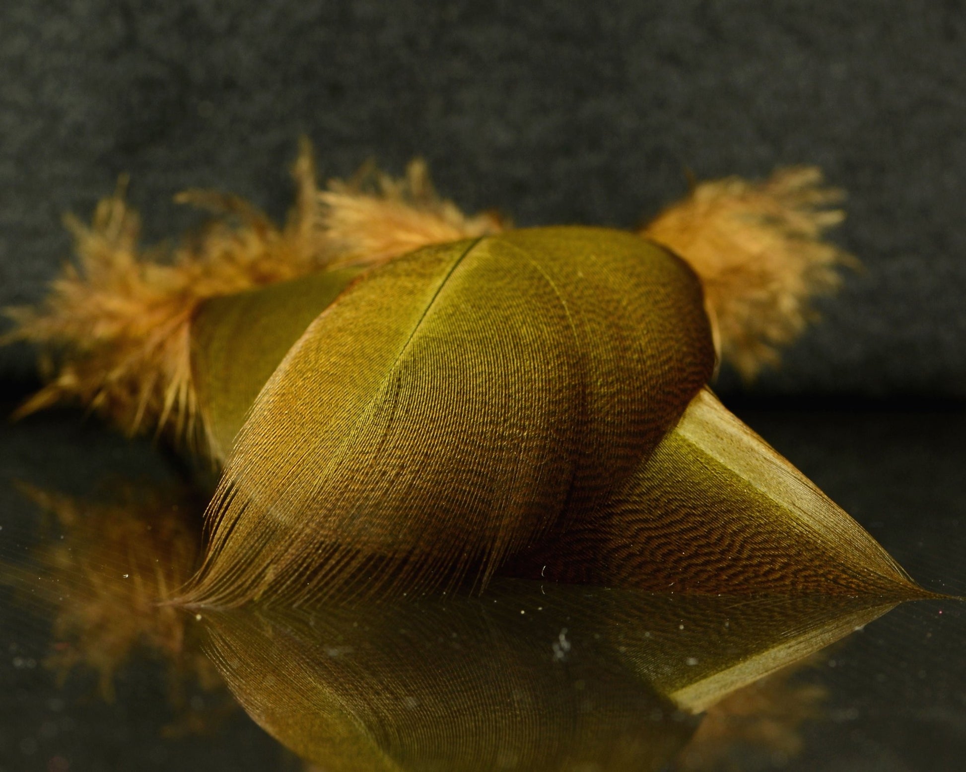 Spawn Super Select Bronze Mallard - Spawn Fly Fish - Spawn Fly Fish