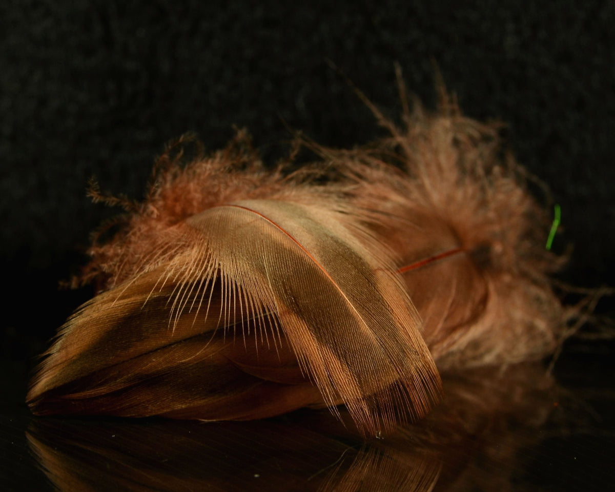 Spawn Flies Spawn Super Select Hen Mallard | Spawn Fly Fish – Spawn Fly Fish