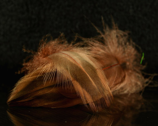 Spawn Super Select Hen Mallard - Spawn Fly Fish - Spawn Fly Fish