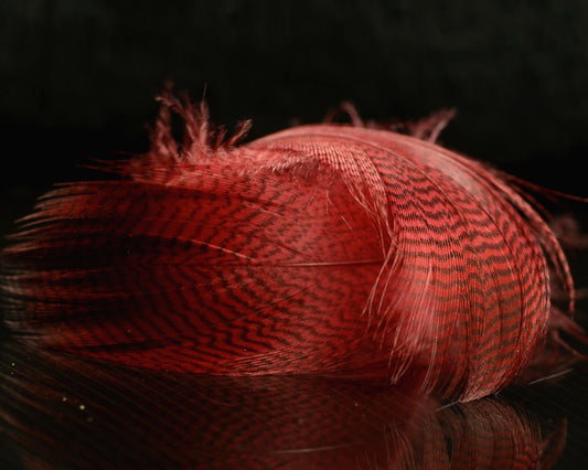 Spawn Super Select Pintail Feathers - Spawn Fly Fish - Spawn Fly Fish