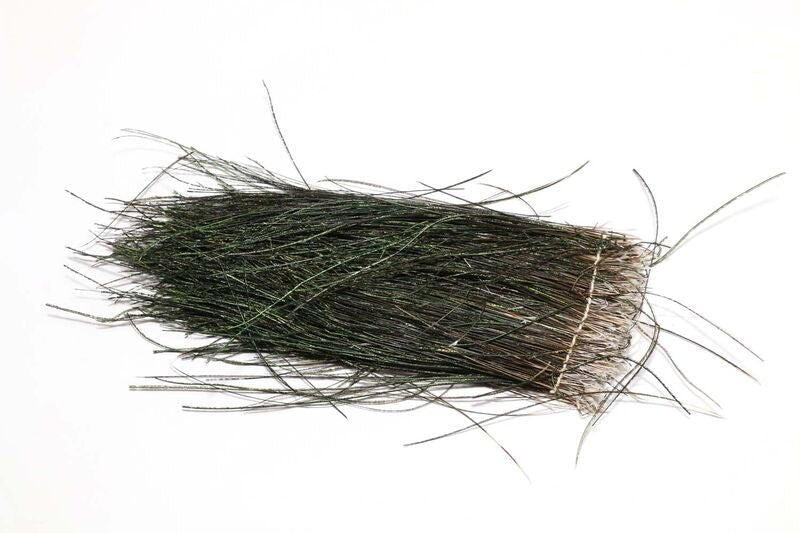 Hareline Strung Peacock Herl 5 - 7" Small - Spawn Fly Fish - Hareline Dubbin