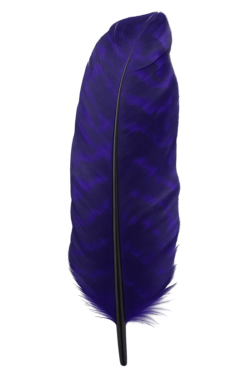 Turkey Quill - Dyed Purple - Spawn Fly Fish - Spawn Fly Fish